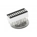 10 Segment LED - White